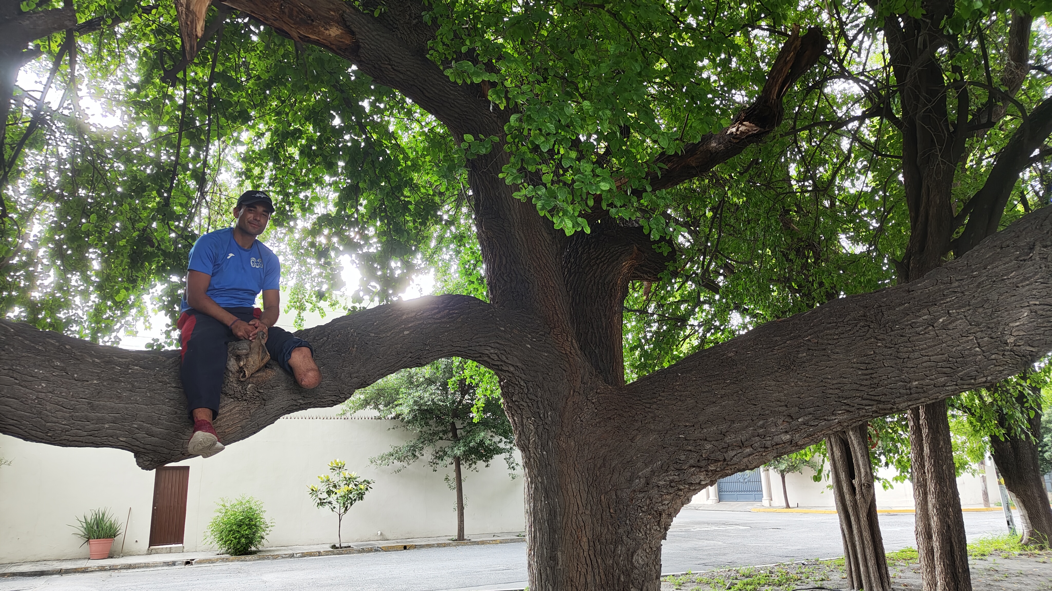 Ricardo descansando en una de las ramas del Árbol de Tres Abrazos